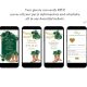 Gold and Emerald Green Western Charra Quinceañera Invitation