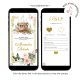 A20 Sage Green Pink Fairytale Princess Royal Carriage Quinceanera Invitation