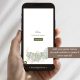A18 Boho Sage Green Pampass Grass Quinceanera Princess Invitation