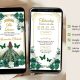 Gold and Emerald Green Princess Quinceanera Invitation