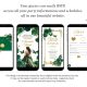Gold and Emerald Green Princess Quinceanera Invitation